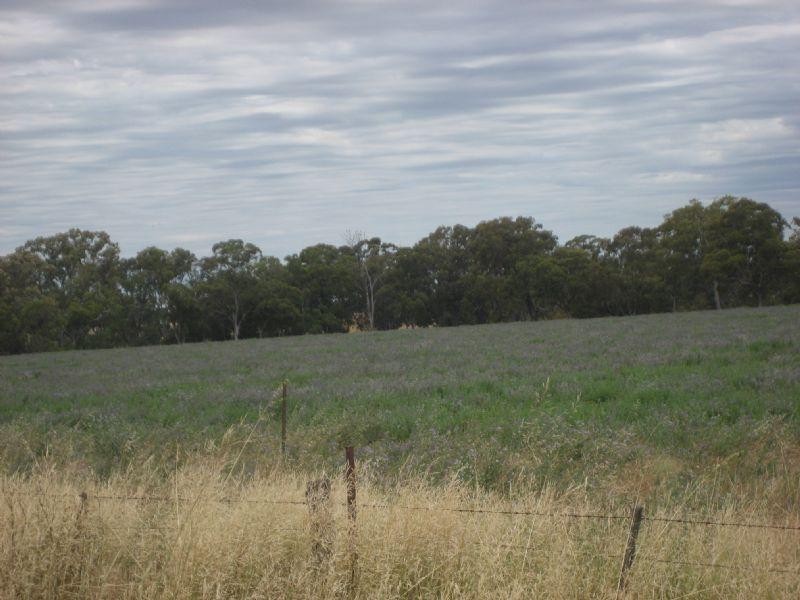 00 Elmore Minto Road, Elmore VIC 3558