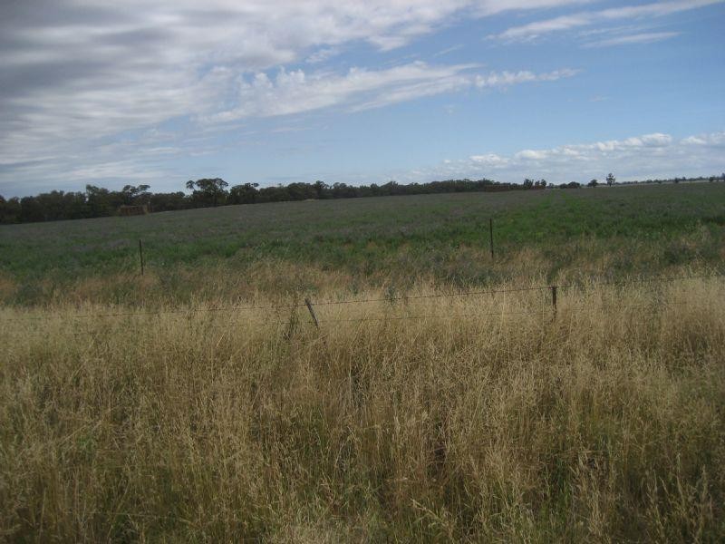 00 Elmore Minto Road, Elmore VIC 3558