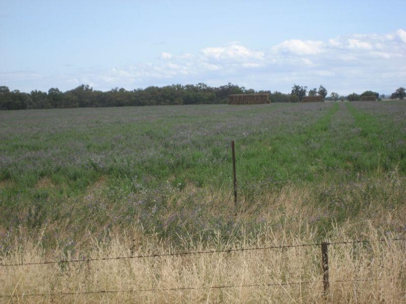 00 Elmore Minto Road, Elmore VIC 3558