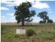 1650 ACRES (APPROX), St Arnaud VIC 3478
