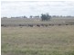 1650 ACRES (APPROX), St Arnaud VIC 3478