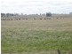1650 ACRES (APPROX), St Arnaud VIC 3478