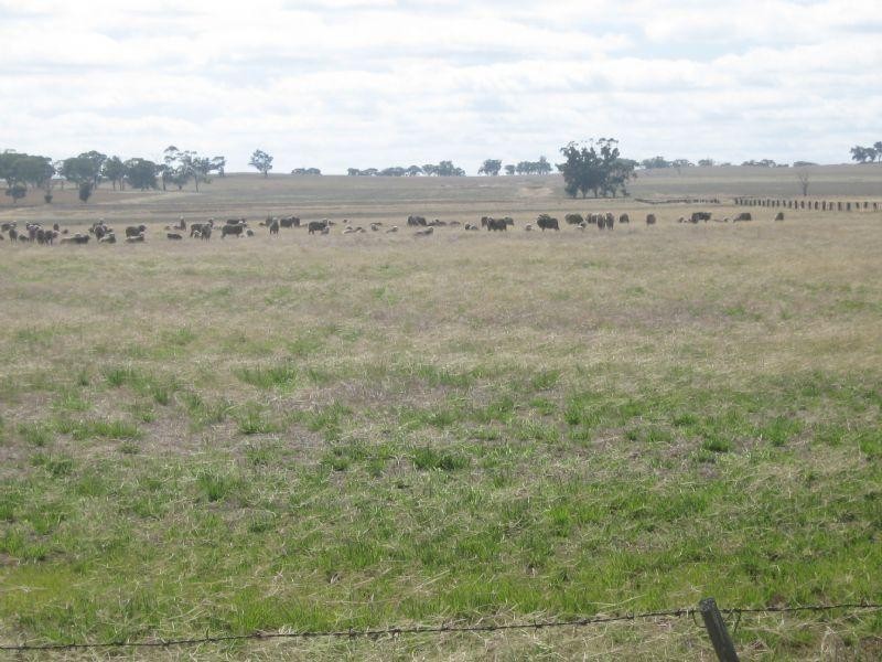 1650 ACRES (APPROX), St Arnaud VIC 3478