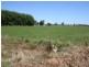 Lot 2 Hansen Road, Lockington VIC 3563