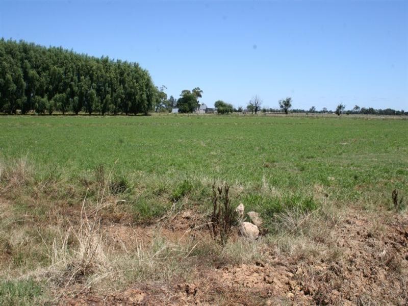 Lot 2 Hansen Road, Lockington VIC 3563