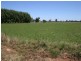 Lot 2 Hansen Road, Lockington VIC 3563