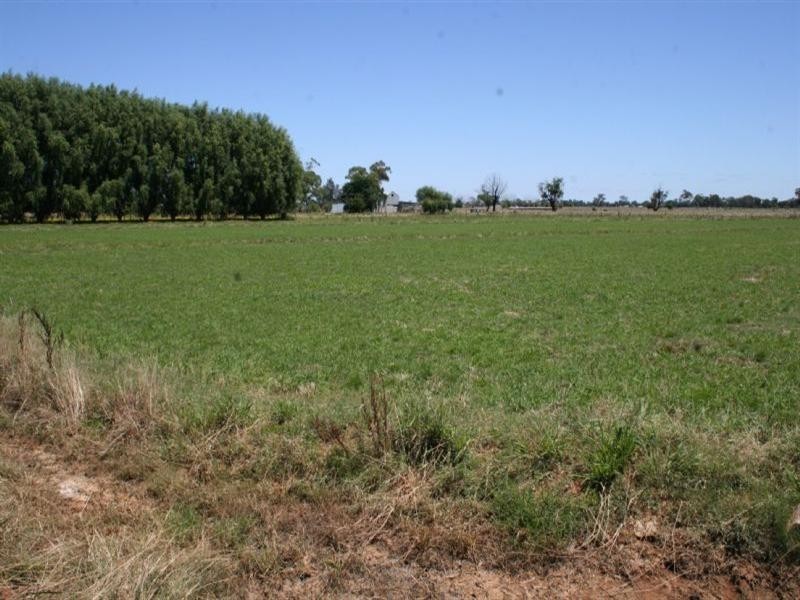 Lot 2 Hansen Road, Lockington VIC 3563