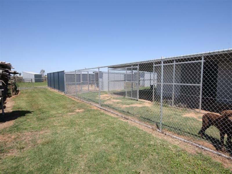77 Tonkin Road, Lockington VIC 3563