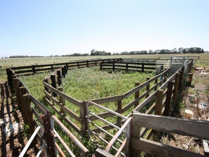 00 Echuca Mitiamo Road, Kotta VIC 3565