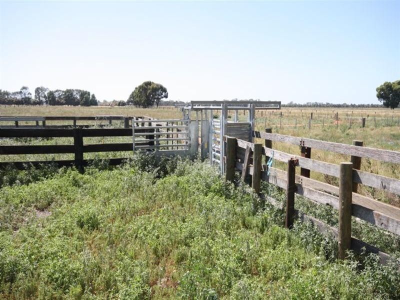 00 Echuca Mitiamo Road, Kotta VIC 3565