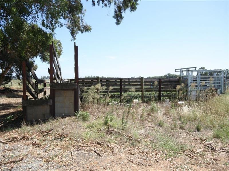 00 Echuca Mitiamo Road, Kotta VIC 3565
