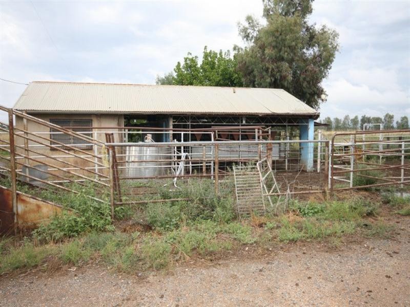 161 Johnson Road, Lockington VIC 3563