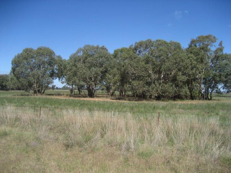 00 Cnr Dingee and Tennyson Road, Diggora VIC 3561