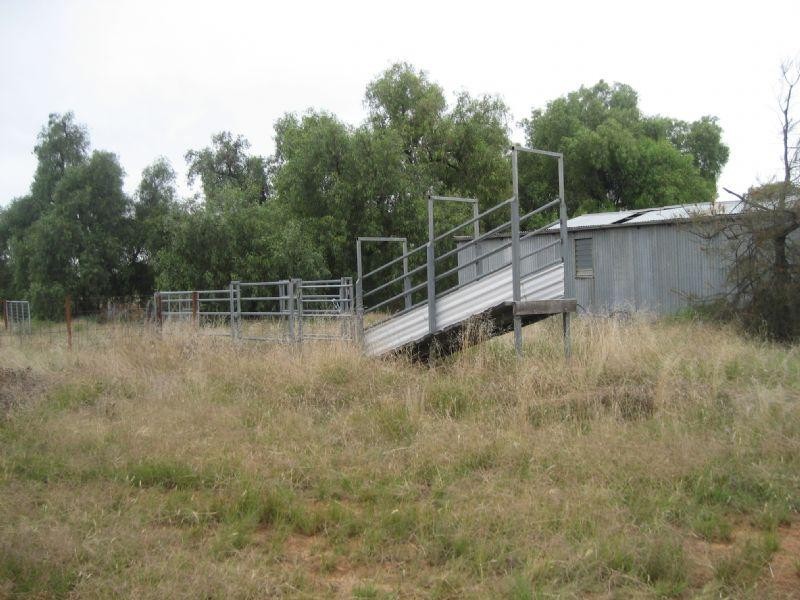 00 Cnr Dingee and Tennyson Road, Diggora VIC 3561