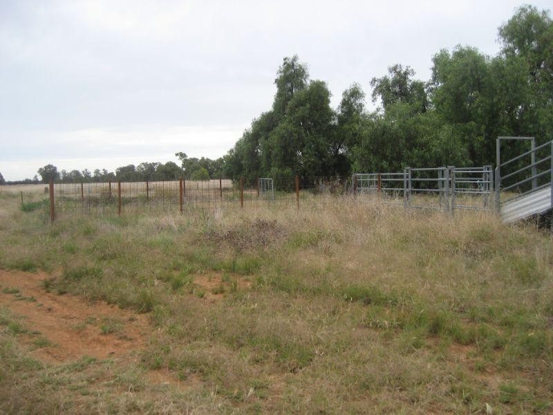 00 Cnr Dingee and Tennyson Road, Diggora VIC 3561