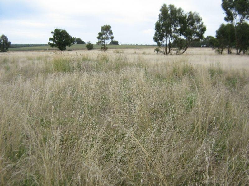 2113 St.Arnaud – Dunolly Road, Emu VIC 3475