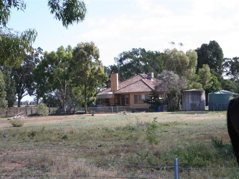 1060 Raywood Road, Elmore VIC 3558