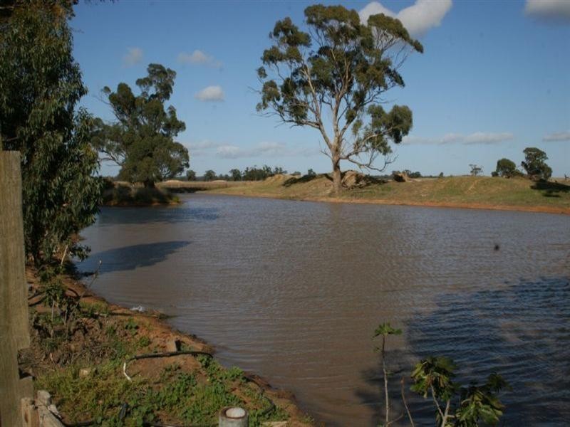 1060 Raywood Road, Elmore VIC 3558