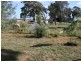 1060 Raywood Road, Elmore VIC 3558