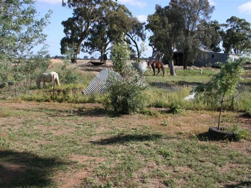 1060 Raywood Road, Elmore VIC 3558