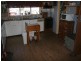 1060 Raywood Road, Elmore VIC 3558