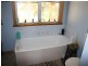 1060 Raywood Road, Elmore VIC 3558