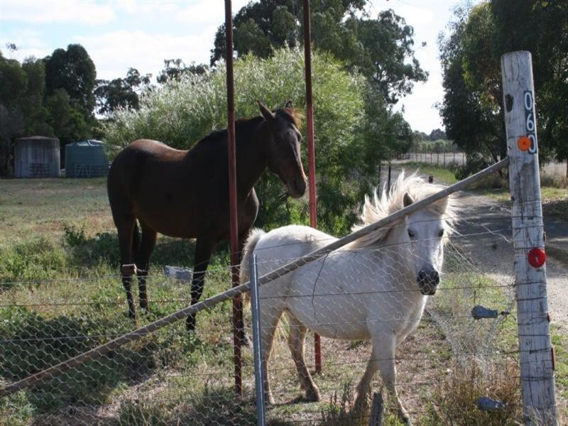 1060 Raywood Road, Elmore VIC 3558
