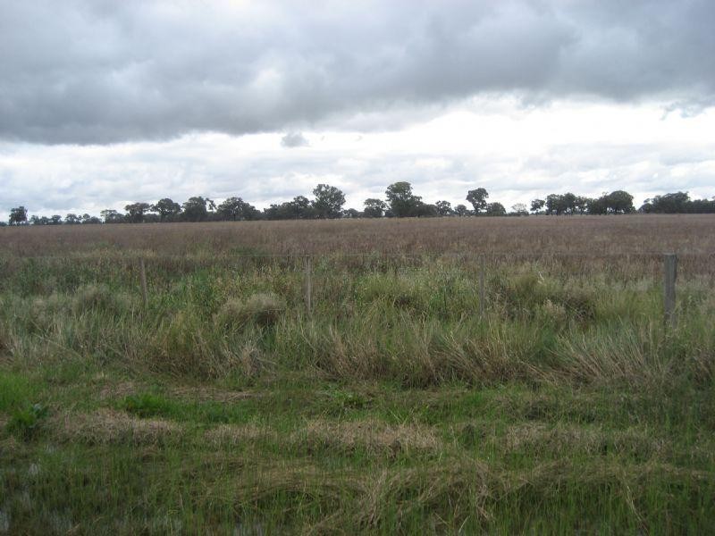 Cnr McColl and Tonkin Road, Diggora VIC 3561