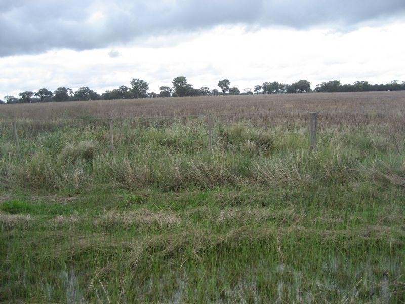 Cnr McColl and Tonkin Road, Diggora VIC 3561