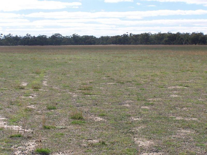 120 Coates Road, Gre Gre South VIC 3478