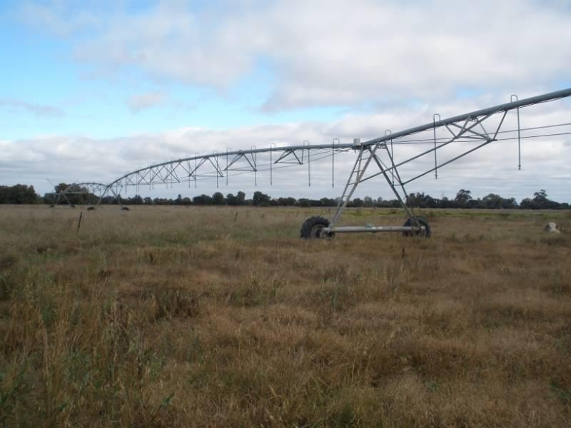 2298 Prairie – Rochester Road, Tennyson VIC 3572