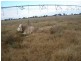 2298 Prairie – Rochester Road, Tennyson VIC 3572