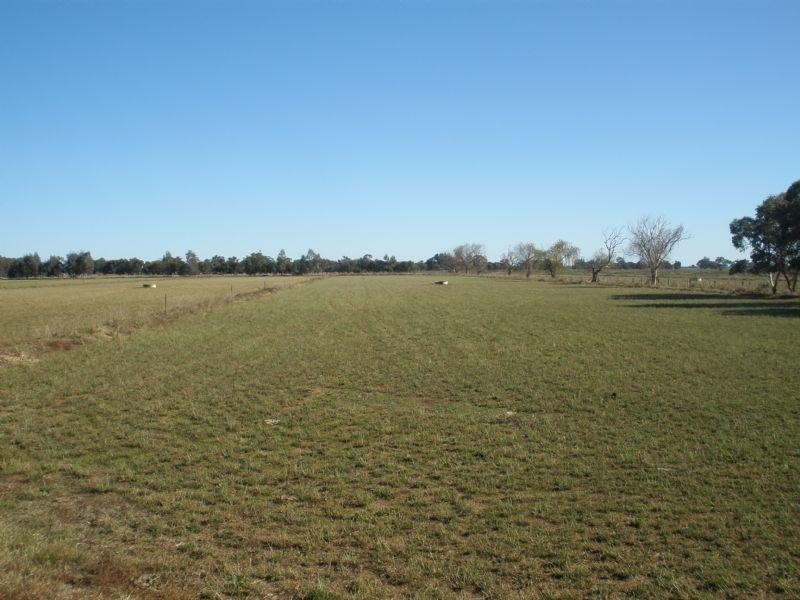 00 Cnr Tennyson and Forsyth Road, Tennyson VIC 3572