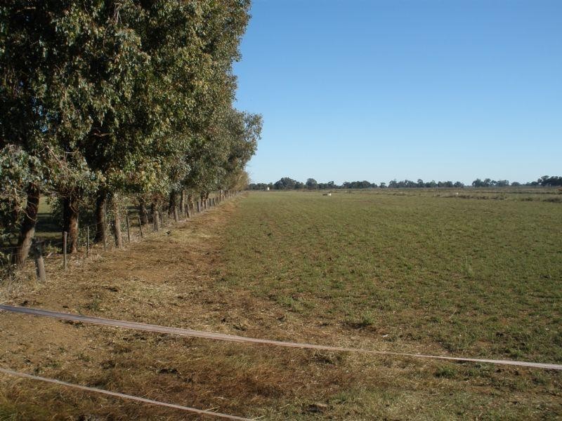 00 Cnr Tennyson and Forsyth Road, Tennyson VIC 3572