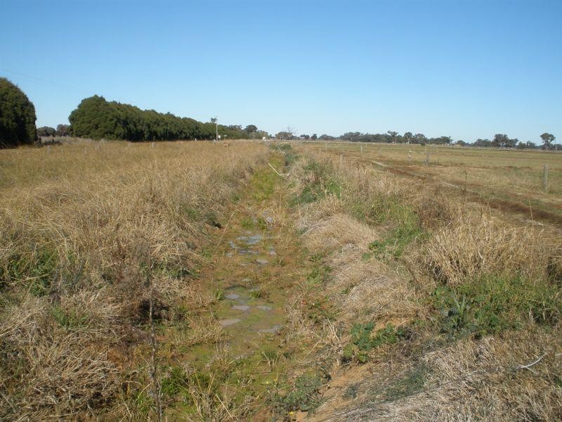 00 Cnr Tennyson and Forsyth Road, Tennyson VIC 3572