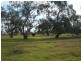 2205 Prairie Road, Tennyson VIC 3572