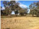 2205 Prairie Road, Tennyson VIC 3572