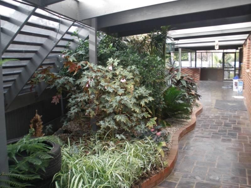 51 Northcote Street, Rochester VIC 3561