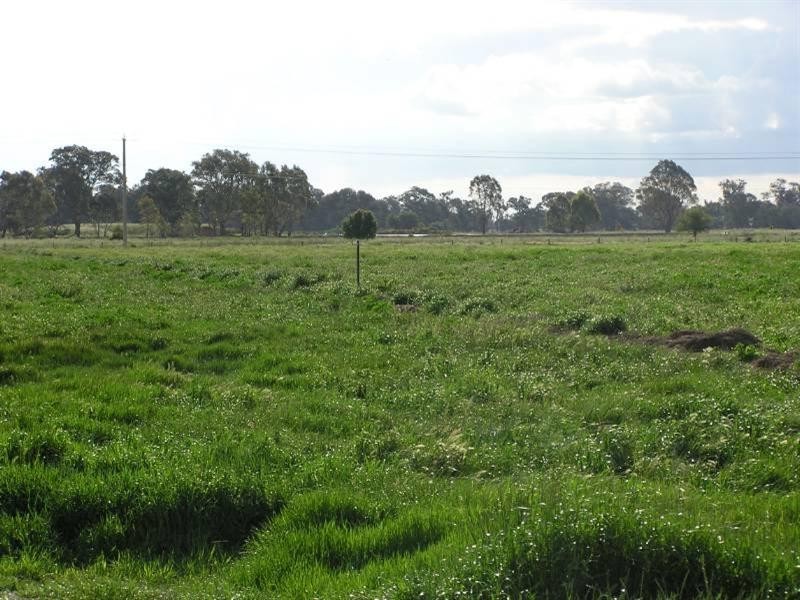 Cnr Moore and Roch-Strathallan Road, Rochester VIC 3561