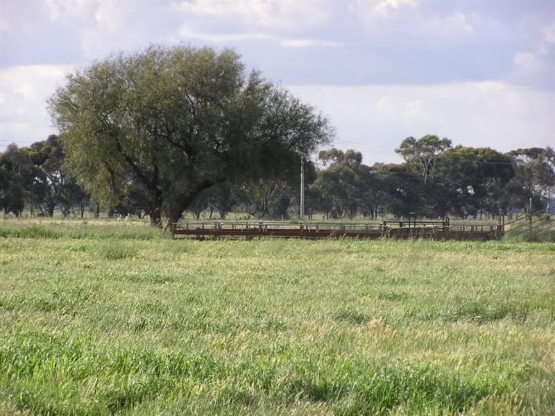 Cnr Moore and Roch-Strathallan Road, Rochester VIC 3561