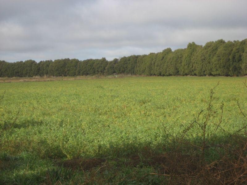 00 O’Donnell Road, Rochester VIC 3561