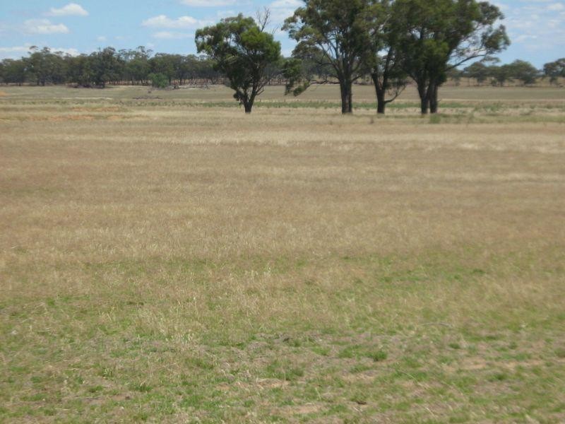 0 Moore Road, Kooreh VIC 3478