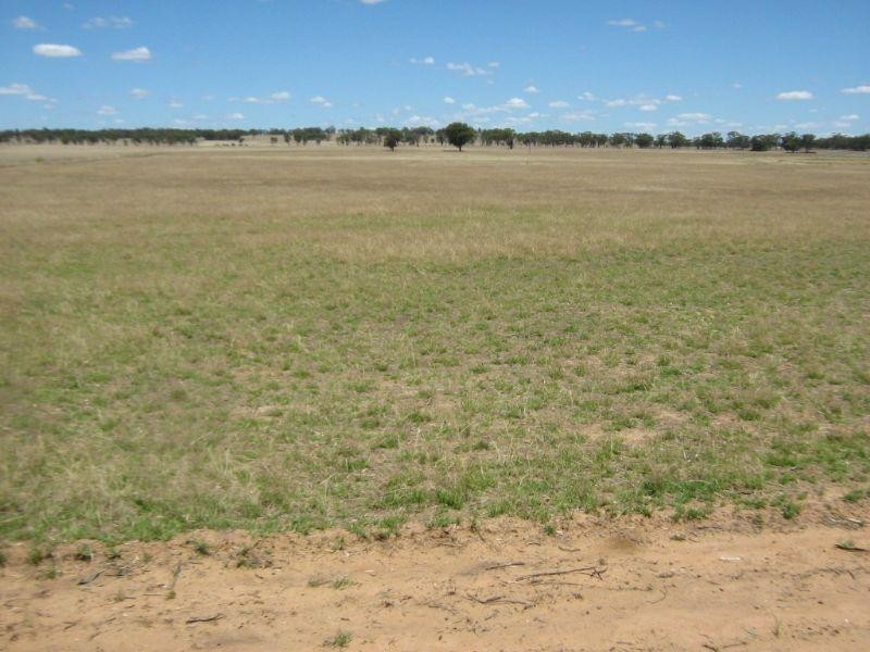 0 Moore Road, Kooreh VIC 3478