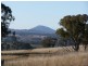 Lot 1 and 2 Sheltons Road, Wedderburn VIC 3518