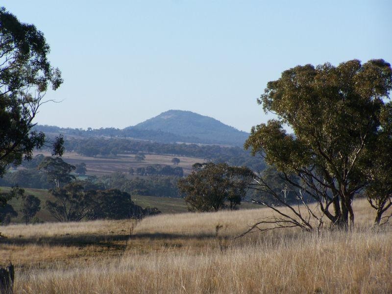 Lot 1 and 2 Sheltons Road, Wedderburn VIC 3518
