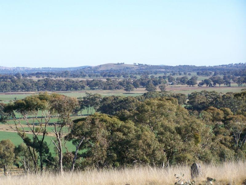 Lot 1 and 2 Sheltons Road, Wedderburn VIC 3518