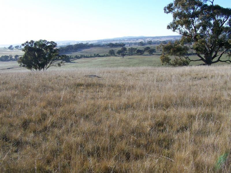 Lot 1 and 2 Sheltons Road, Wedderburn VIC 3518