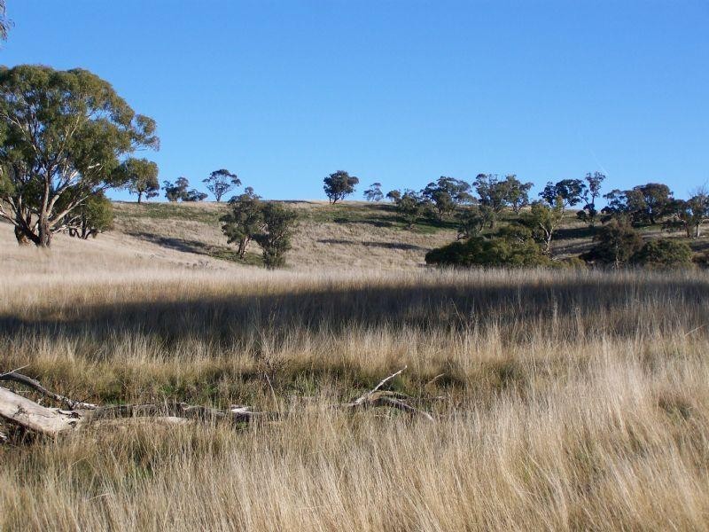 Lot 1 and 2 Sheltons Road, Wedderburn VIC 3518