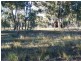 Lot 1 and 2 Sheltons Road, Wedderburn VIC 3518