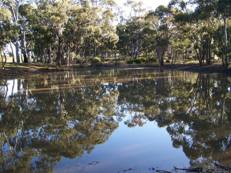 Lot 1 and 2 Sheltons Road, Wedderburn VIC 3518